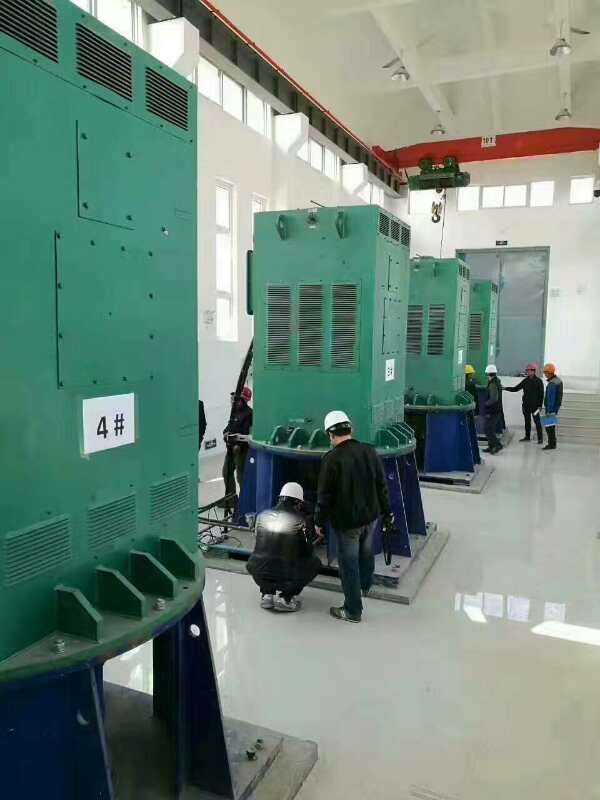 双清某污水处理厂使用我厂的立式高压电机安装现场